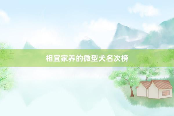 相宜家养的微型犬名次榜