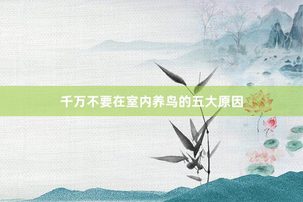 千万不要在室内养鸟的五大原因