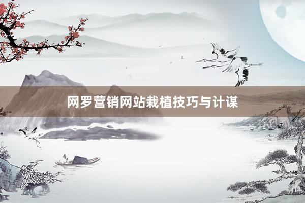 网罗营销网站栽植技巧与计谋